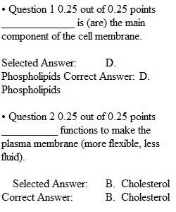 Quiz 3